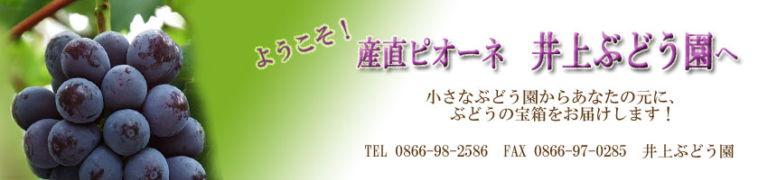 悤YsI[lԂǂց@TEL0866-98-2586