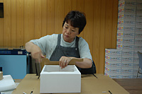 ぶどうの箱折り。