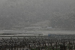 雪景色。