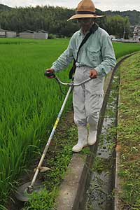 父さんは、田んぼの草刈。