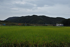 䕗PẂAɒʂ߂čs܂B