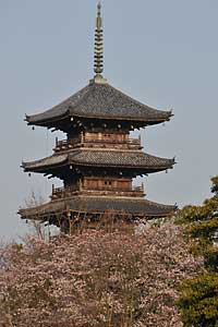 国分寺
