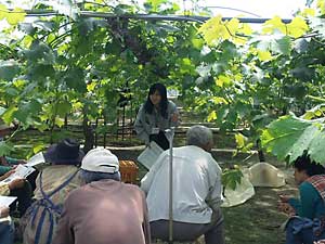 ハウス講習会。