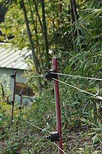 電気柵