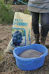 ピオーネ専用肥料