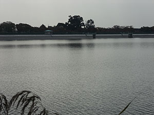 伊丹市瑞ヶ池公園