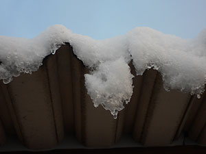 雪