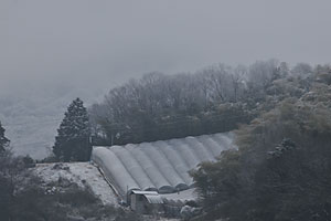 雪