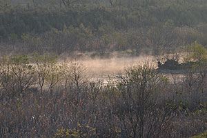 小田川
